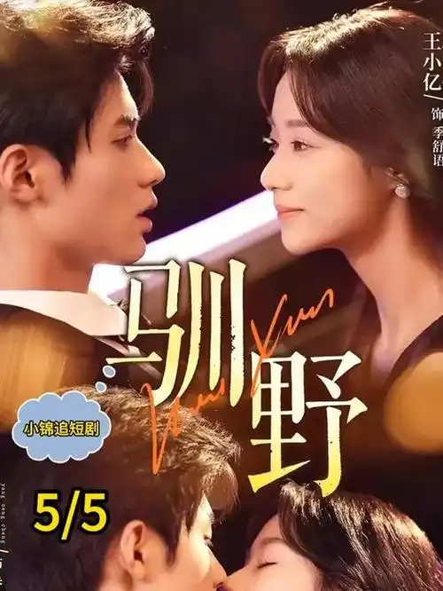 《山海情》详情海报